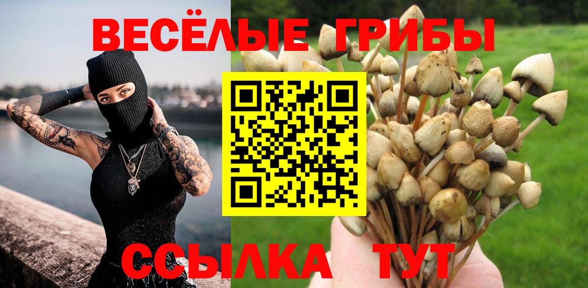 Галлюциногенные грибы ЛСД  Вход с VPN  Жигулёвск 